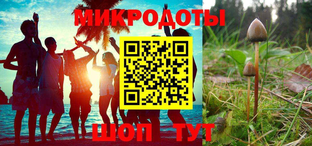 Галлюциногенные грибы прущие грибы  Вход с VPN  Будённовск  Галлюциногенные грибы Psilocybine cubensis 